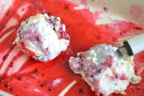TwinkieForestBerryIceCreamMain4