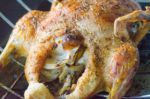 Bohemian Roasted Duck