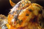 Citrus Herb Roast Turkey