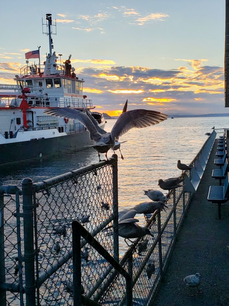 Seattle Waterfront Pier