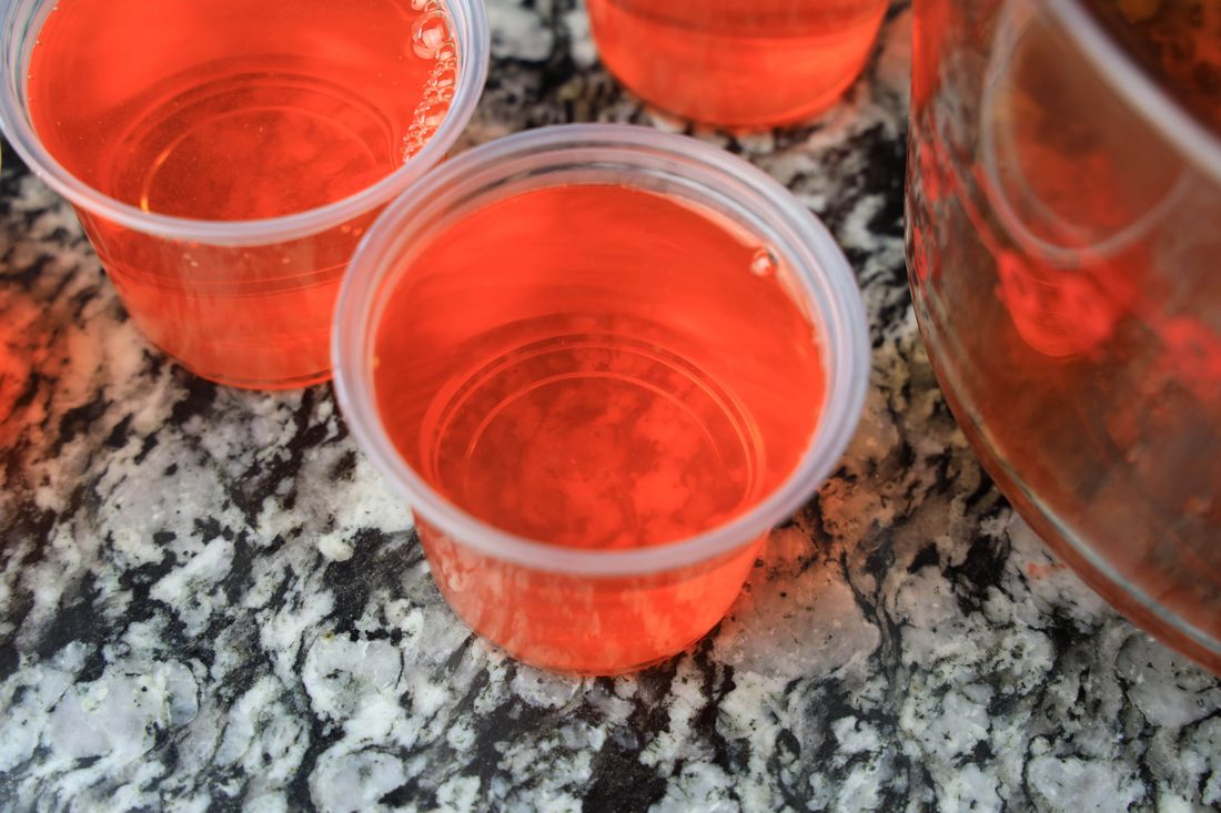 Halloween Movie Pumpkin Jello Shots Mooshu Jenne